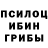 Галлюциногенные грибы прущие грибы PDnock