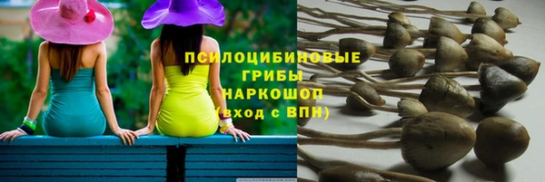ГАЛЛЮЦИНОГЕННЫЕ ГРИБЫ Приозерск