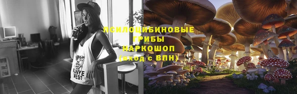 ГАЛЛЮЦИНОГЕННЫЕ ГРИБЫ Приозерск
