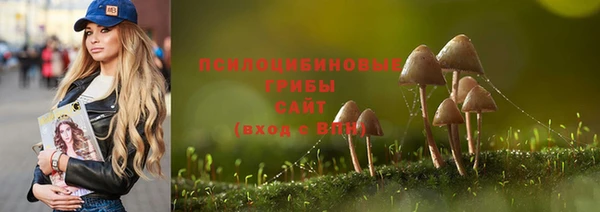 трава Пролетарск