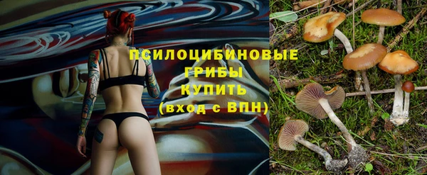 трава Пролетарск