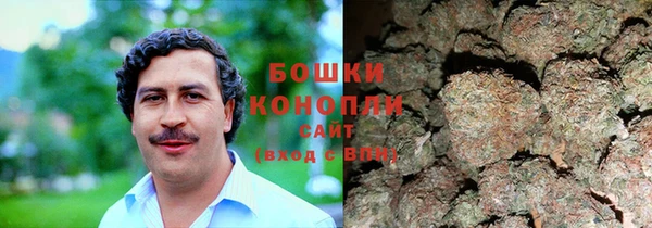 ГАЛЛЮЦИНОГЕННЫЕ ГРИБЫ Приозерск