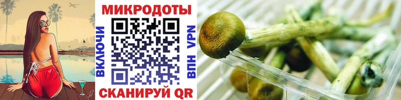 Псилоцибиновые грибы MAGIC MUSHROOMS  kraken ТОР  Валдай  где купить наркотик 