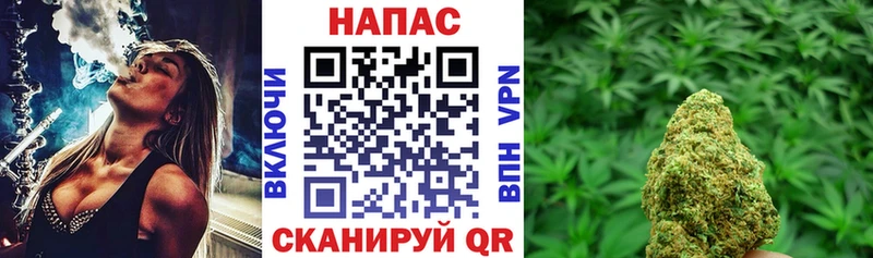 Конопля сатива  магазин    Валдай 